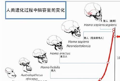 地球最大的伤口仍在扩大，深达2公里，未来可能形成第八大洲