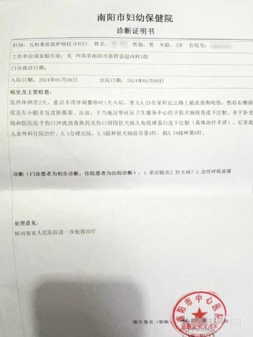 南阳一男童被狗咬伤离世调查结果公布