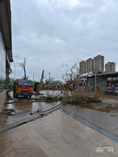 直击湛江徐闻台风过境后现状 满目疮痍，救援重建进行时