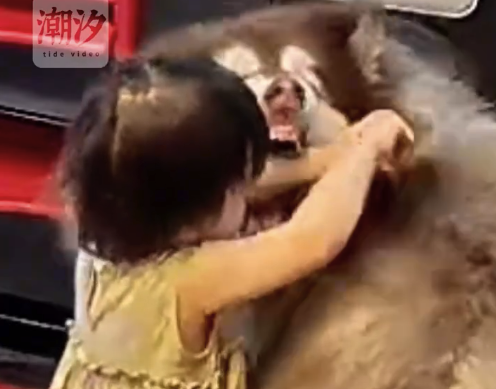 宠物狗趁大人离开张嘴欲咬孩子 ​提醒：再温顺的宠物，与幼儿独处时也请大人务必在场