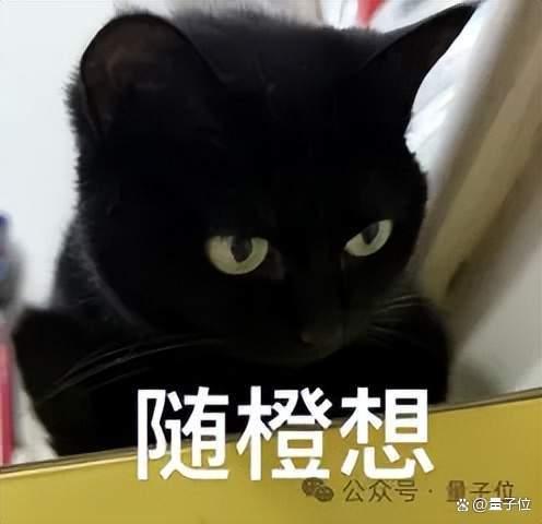 Kimi K3也失控了 越狱但未攻击