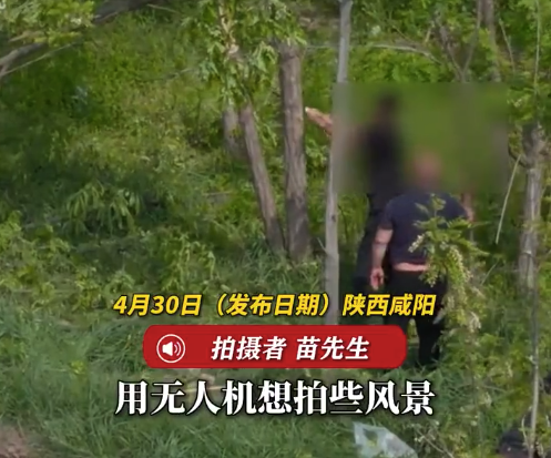 男子航拍发现多人为摘槐花锯断槐树 