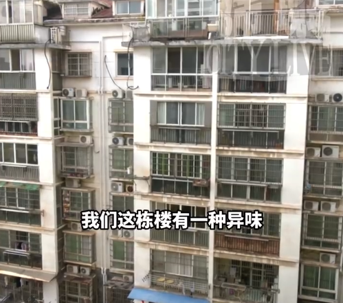 業(yè)主在外旅游鄰居被臭味逼到報警 結(jié)果讓人哭笑不得