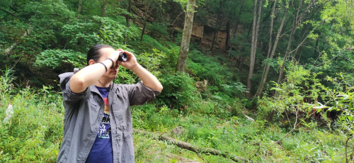 通过电影屏幕让全世界知道“镜界·白山”以影视文化推动白山文旅发展