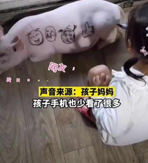 女孩不玩手機和豬玩 寵物豬成新寵