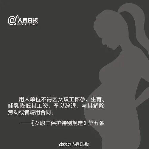 女子怀孕七个月，被公司称没产假劝退？