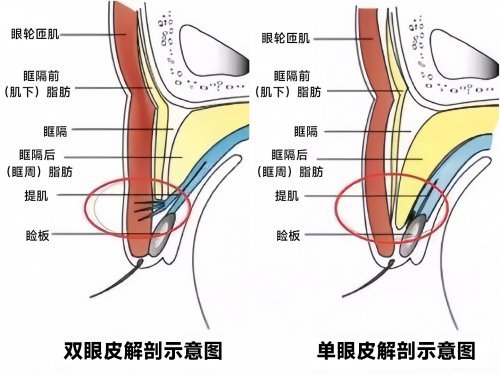 重磅发布！福州海峡AOS灵动美瞳术问世，眼整形赛道驶入“动态美学”新阶段