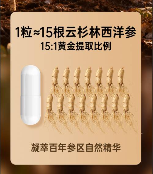 高瑞莱极参，加拿大百年参源地，凝萃稀有人参皂苷创世臻品