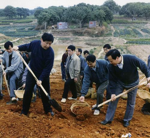 劳动模范是民族的精英、人民的楷模 习近平这样说 