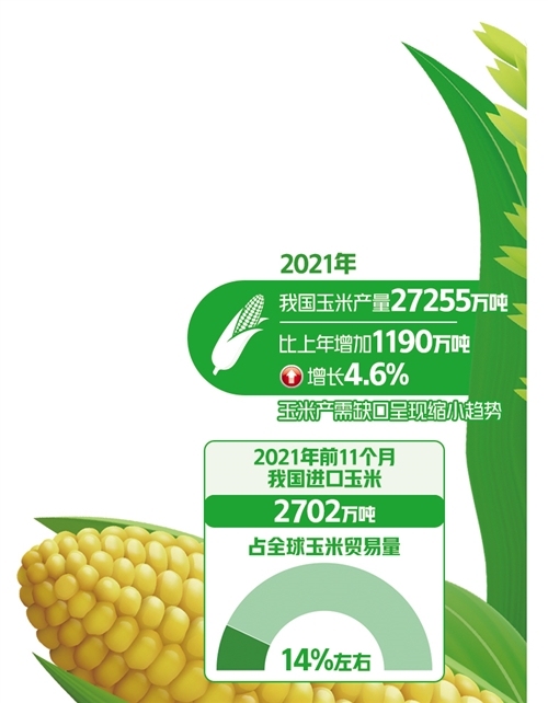国内产量增长、进口及替代谷物增加 玉米供需持续改善