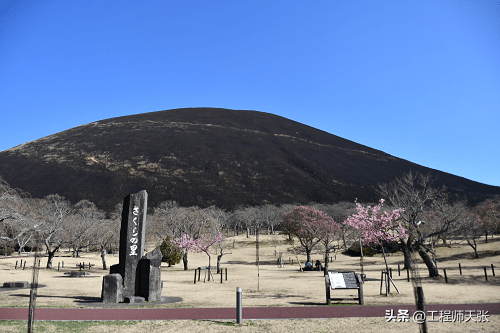 日本坚持700年烧山传统，日本为什么要烧山？咱们却不行