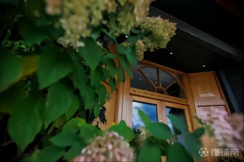 温网解除对俄选手禁赛令 今年夏天可以正常参赛