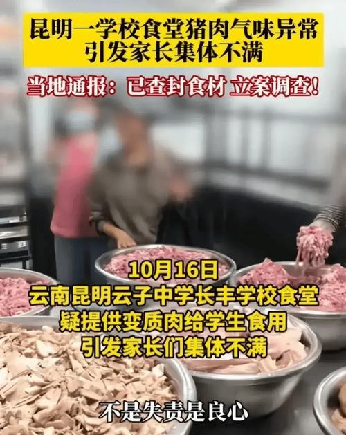 臭肉事件学校董事长关联多家教育公司 臭肉事件食堂承包方仅成立8个月