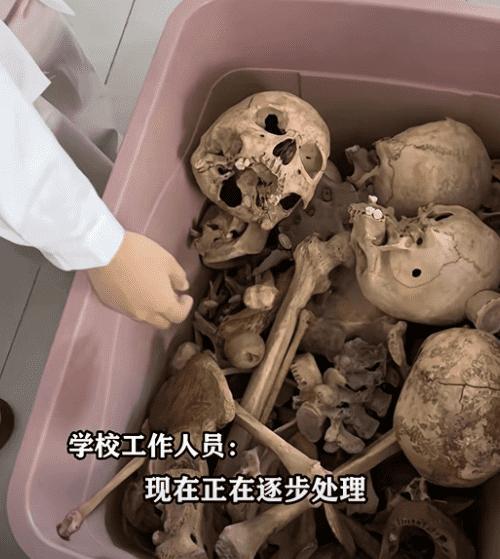 医学生侮辱大体老师 引发伦理反思