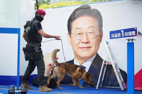 韩国总统选举“事前投票”结束 投票率创史上第二高