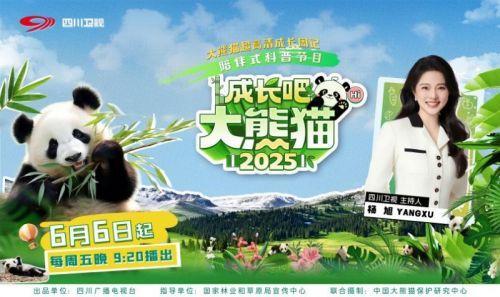 《成長(zhǎng)吧,！大熊貓2025》官宣6月6日開(kāi)播 探索國(guó)寶成長(zhǎng)故事