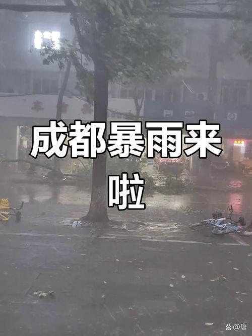 成都高架行船 暴雨中的城市航海模式