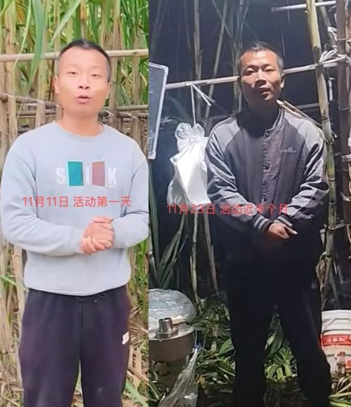 以第一人称视角体验付费偷甘蔗是多么刺激。农