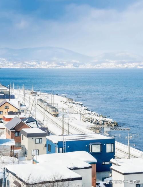 日本北海道熊尸体多到装不下 近千头熊在北海道被猎杀