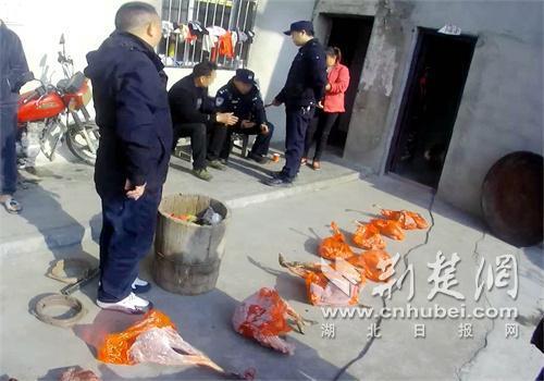 湖北保康警民联手救助受困猕猴 成功解救并抓获嫌疑人