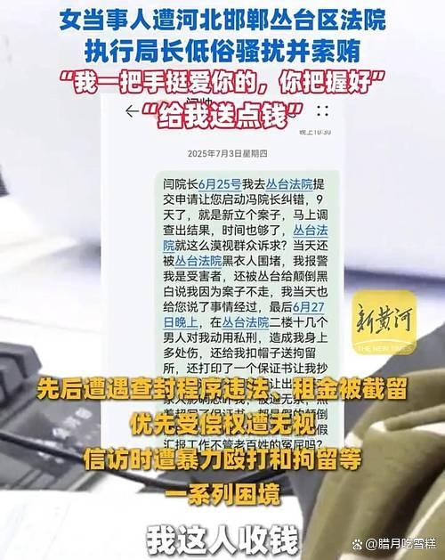 局长骚扰索贿当事人被停职 权力越界需严查
