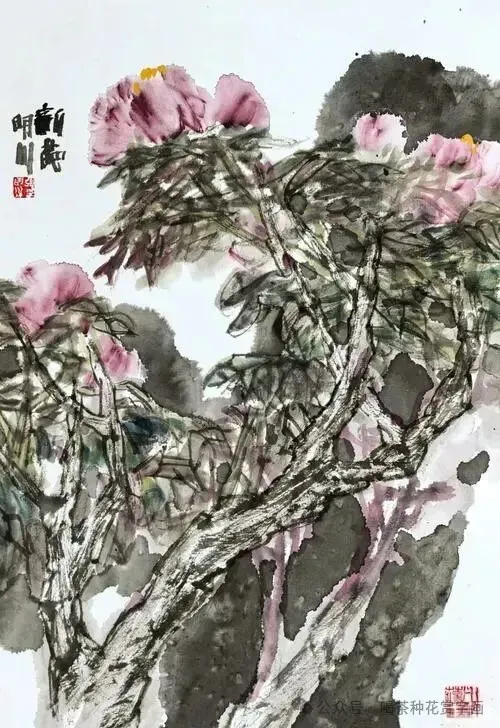 图片