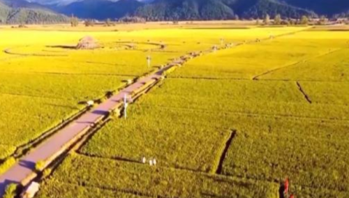 走进“五色吉林” 瞰见这五年白山松水新画卷
