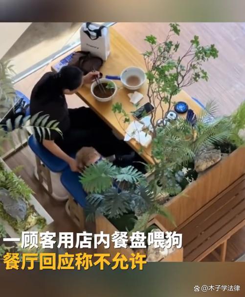 女子用餐厅餐具喂狗辩称用手喂的 不文明行为引众怒