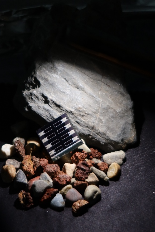 首次、首创、新突破！上周，我国科技发展再添新成果