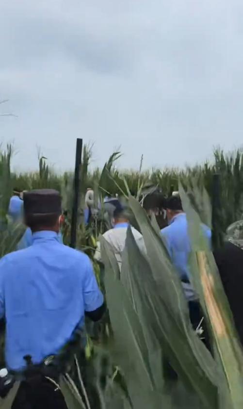 河南重大刑事案嫌疑人落网 警方不懈努力终见成果