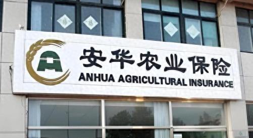 编制虚假文件资料,安华农险潍坊中支被罚22万元