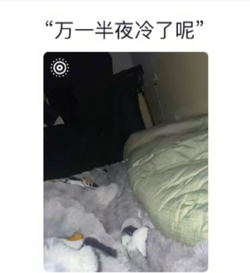 换季的睡觉现状belike 就怕万一半夜冷了！