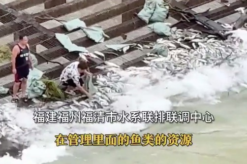 水庫泄洪大量魚類被鐵絲網(wǎng)攔截 多方回應(yīng)