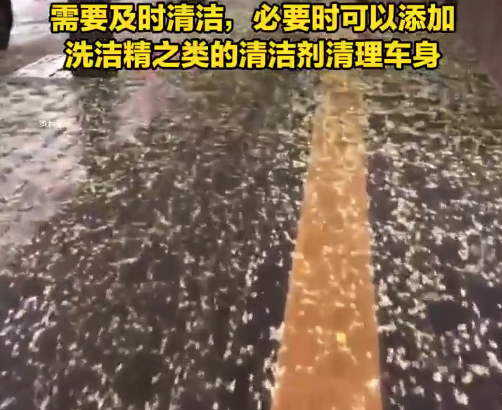 北京又下“槐花雨”，今年特別多，又黏又滑怎么辦？專家發(fā)聲