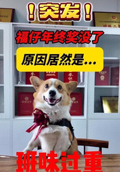 警犬班味過重慘遭沒收年終獎