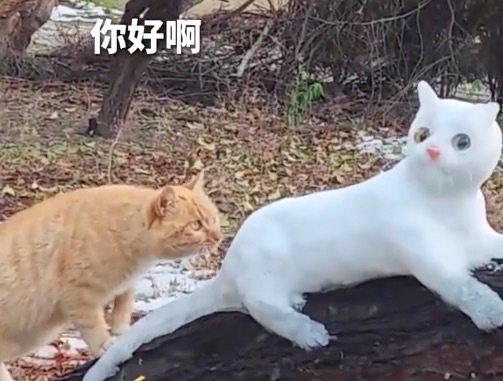 太像了！用雪做猫咪吸引来了真猫咪