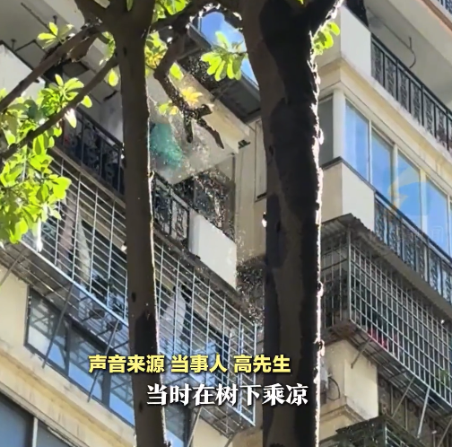 男子在树下乘凉被浇 抬头发现是蝉干的