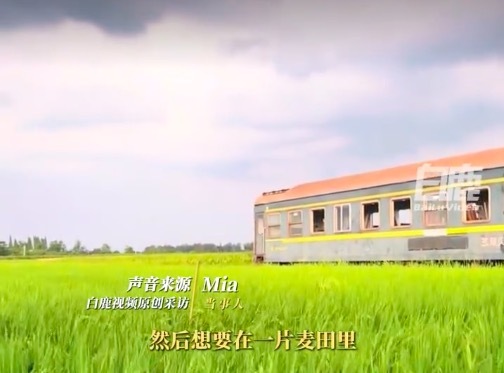 95后情侣花8万买火车车厢布置麦田婚礼