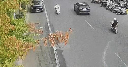 求求你 别再用电动车“挡风被”了