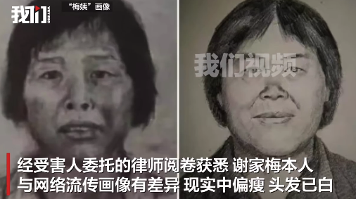 “梅姨”案已提起公诉,申聪被拐细节披露:母亲被封嘴反绑,人贩卖掉孩子分梅姨一千元