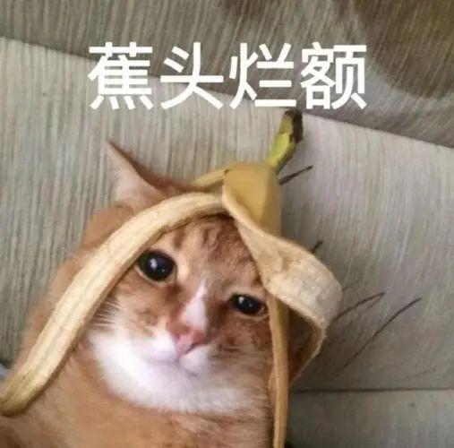 台风天小孩仍在户外玩水 男子劝回 安全教育刻不容缓