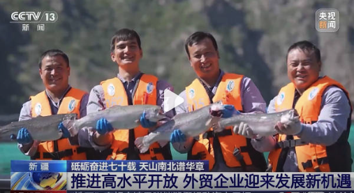 老外餐桌端上了新疆三文魚(yú)！