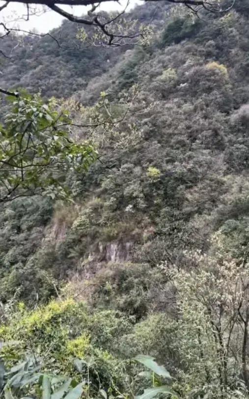 父亲带6岁儿子爬山被困11小时