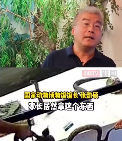 警方介入调查“标本遭游客损坏”事件