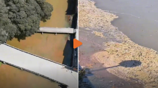 福建一河道因污水涌入呈土黄色 当地回应已展开调查