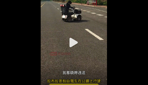 主人回应拉布拉多犬独自开车上路：已经知道违法 