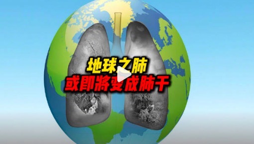 地球之肺或即将变成肺干 亚马逊或将进入超热带气候