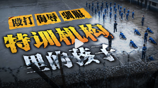 特训机构罚孩子吃泔水 全景还原违规特训机构侵害链条
