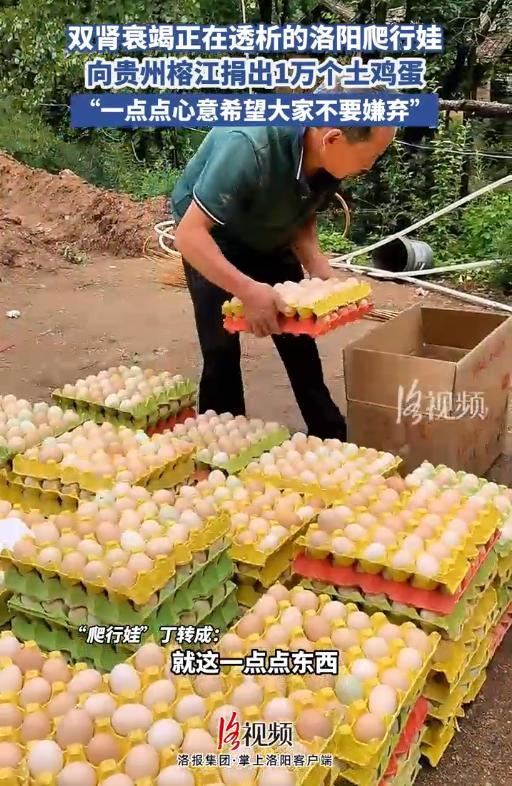 河南爬行娃回应向榕江捐1万个鸡蛋 点亮希望之光