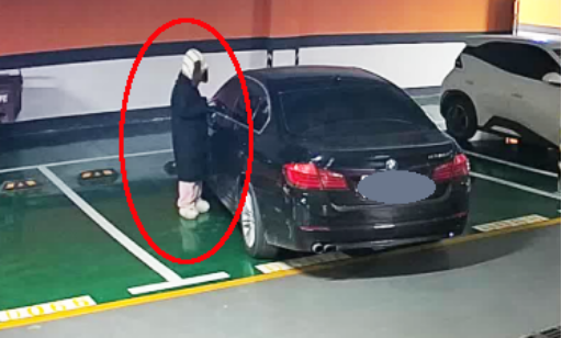 女子连环盗窃十余起终落网